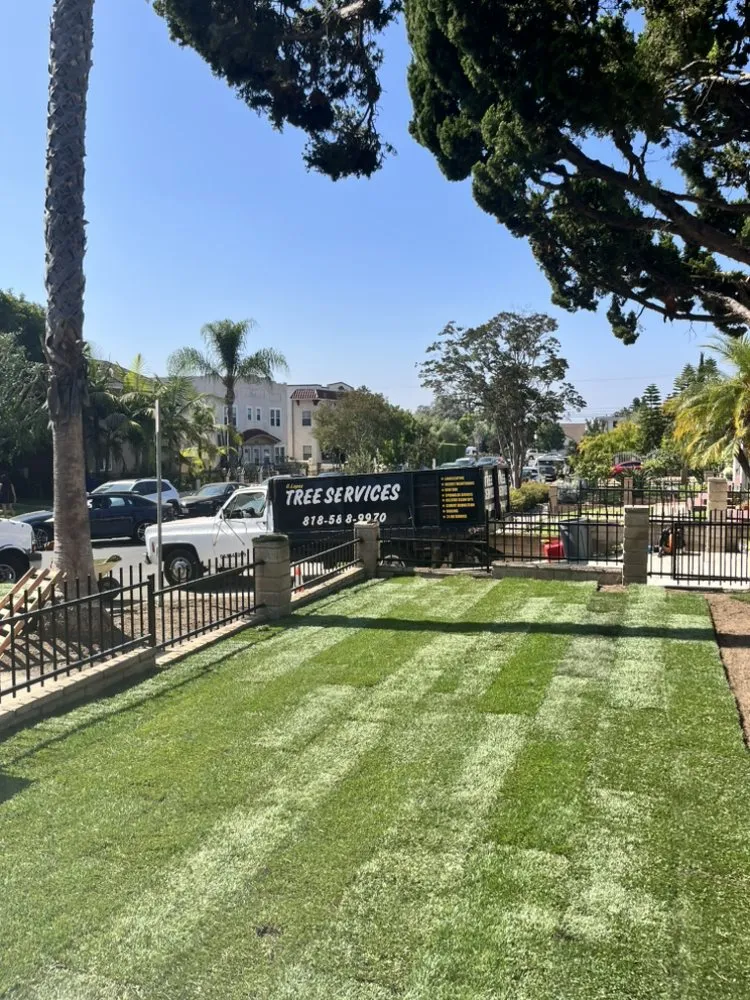 Custom garden landscaping experts serving Glendale, CA - Lopez Landscape and Tree Service