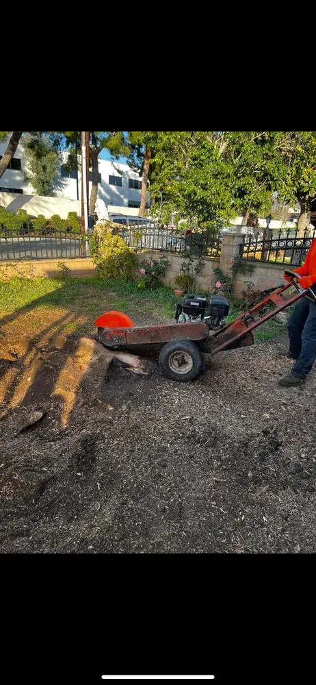 Professional landscape installation in Glendale, CA - Lopez Landscape and Tree Service