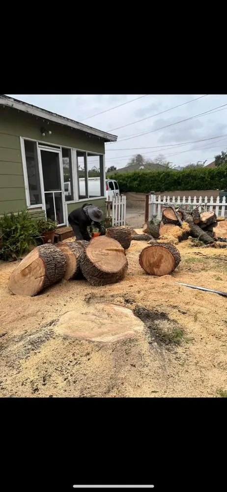 Professional landscaping services for residential properties in Glendale, CA by Lopez Landscape and Tree Service