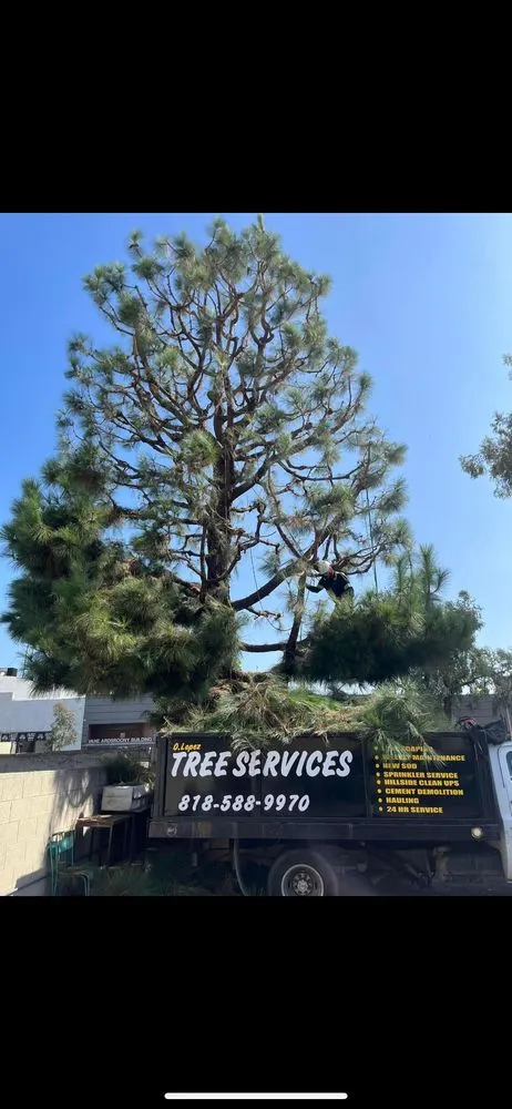 Expert lawn mowing service in Glendale, CA by Lopez Landscape and Tree Service