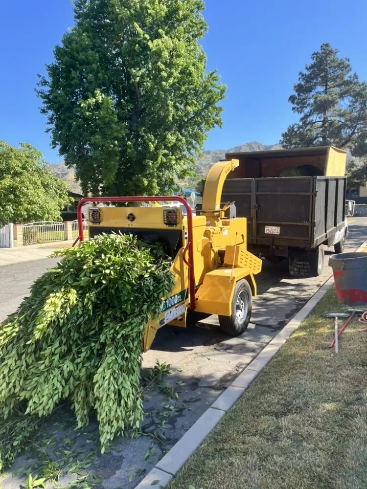 Local outdoor landscaping in Glendale, CA by Lopez Landscape and Tree Service