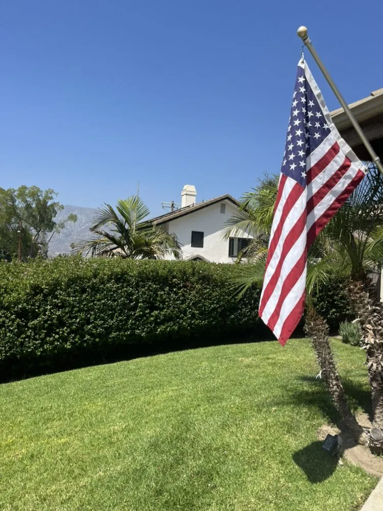 Expert yard cleanup service experts serving Glendale, CA - Lopez Landscape and Tree Service