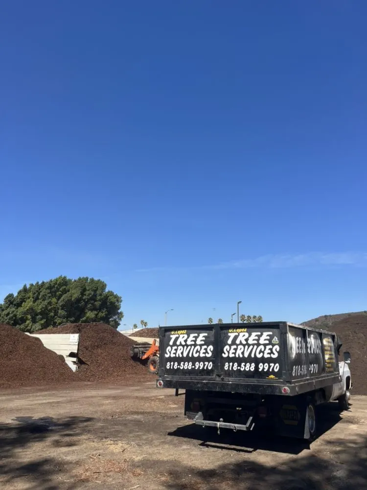 Custom outdoor landscaping near you in Glendale, CA by Lopez Landscape and Tree Service