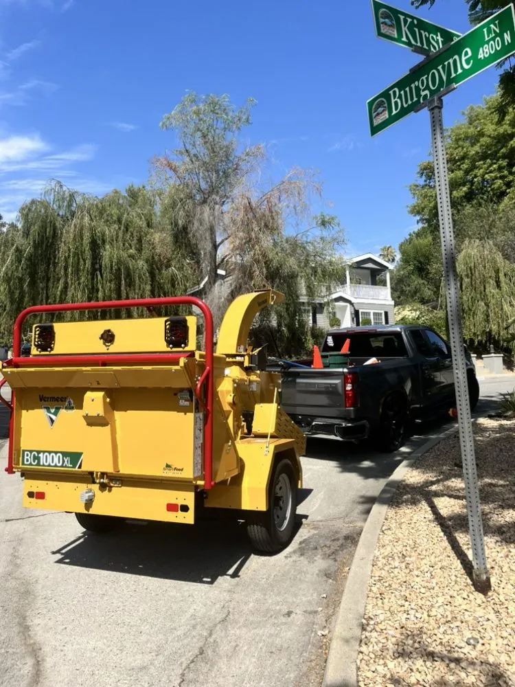 Trusted yard cleanup service experts serving Glendale, CA - Lopez Landscape and Tree Service