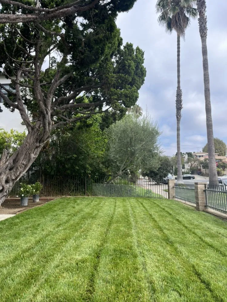 Reliable landscape installation in Glendale, CA - Lopez Landscape and Tree Service