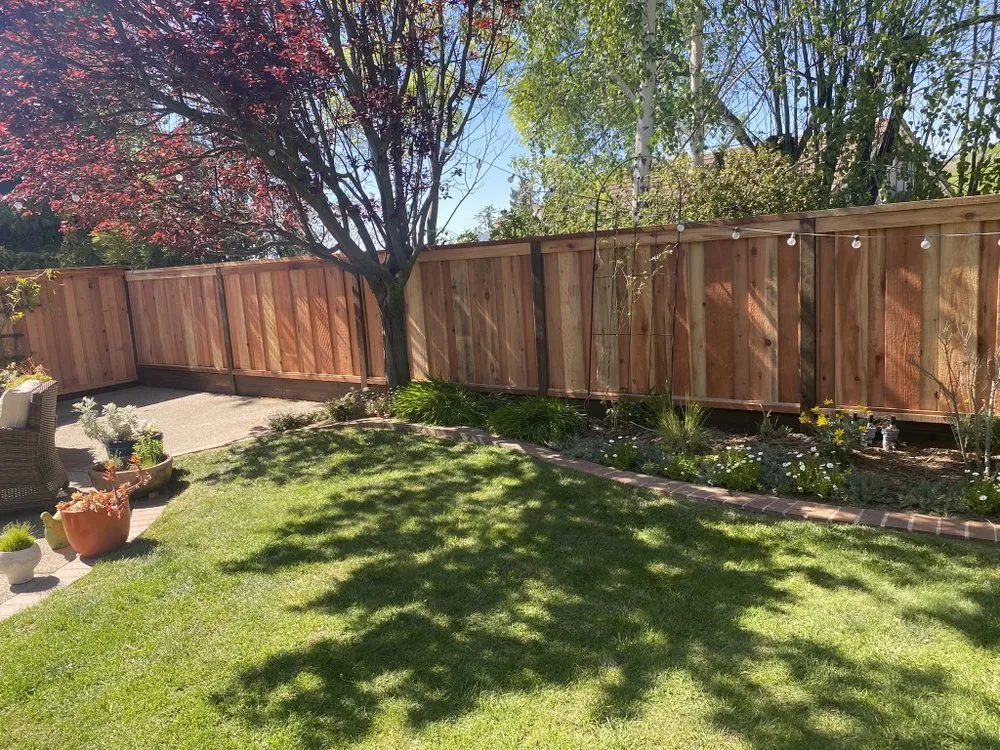 Top-rated lawn mowing service near you in Concord, CA by Lopez Landscape