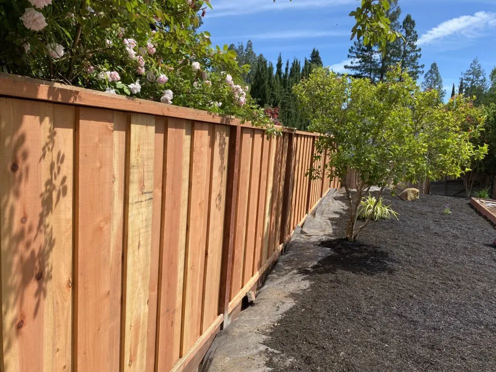 Affordable residential landscaping near you across Concord, CA - Lopez Landscape