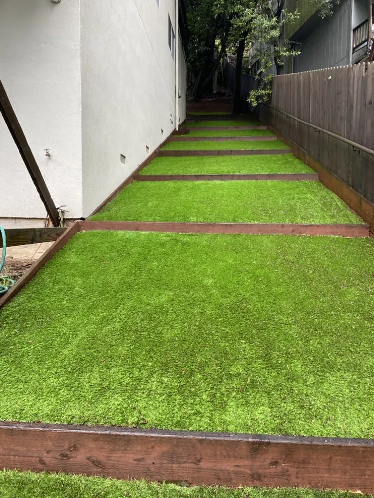 Reliable yard maintenance near you in Concord, CA by Lopez Landscape