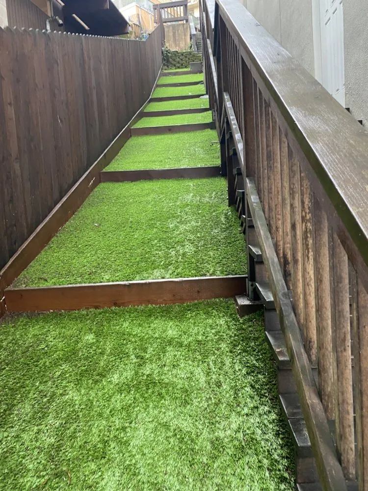 Affordable yard cleanup service with custom design across Concord, CA - Lopez Landscape