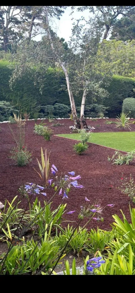 Affordable lawn care service for beautiful yards across Concord, CA - Lopez Landscape