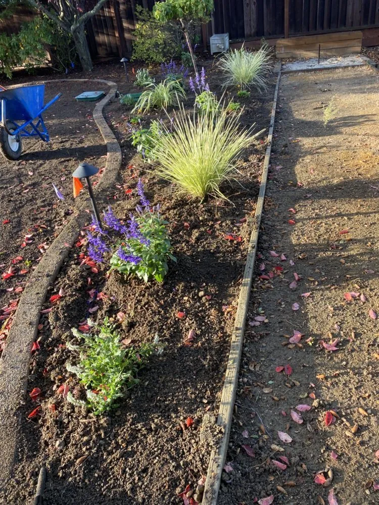 Trusted landscape design for residential properties in Concord, CA by Lopez Landscape