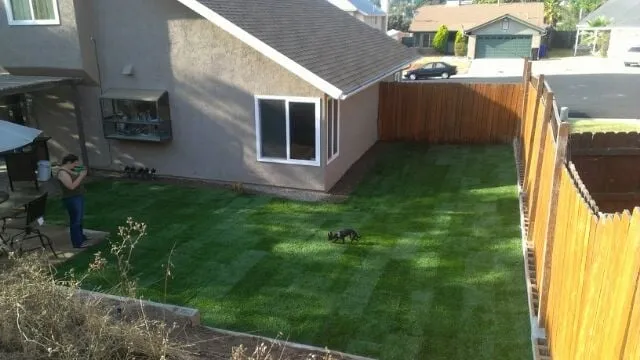 Expert garden landscaping in San Diego, CA by Lopez Landscape Contractor