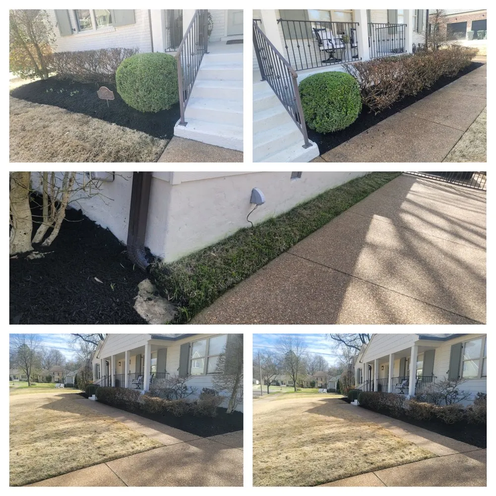 Trusted yard maintenance for outdoor upgrades across Cordova, TN - Lopez Landscape