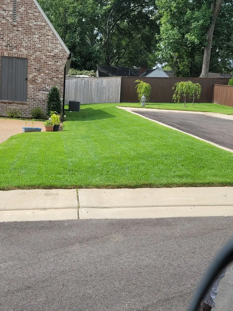 Affordable landscape installation in Cordova, TN by Lopez Landscape