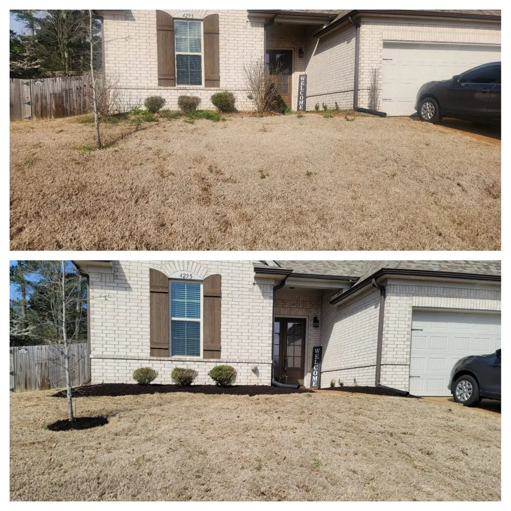 Professional landscape design in Cordova, TN - Lopez Landscape
