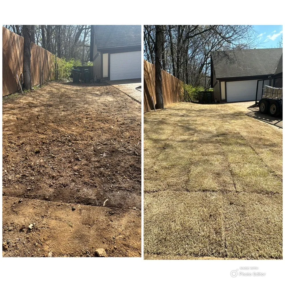 Local yard cleanup service for beautiful yards across Cordova, TN - Lopez Landscape