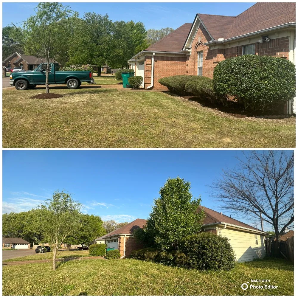 Top-rated landscape installation with custom design in Cordova, TN by Lopez Landscape