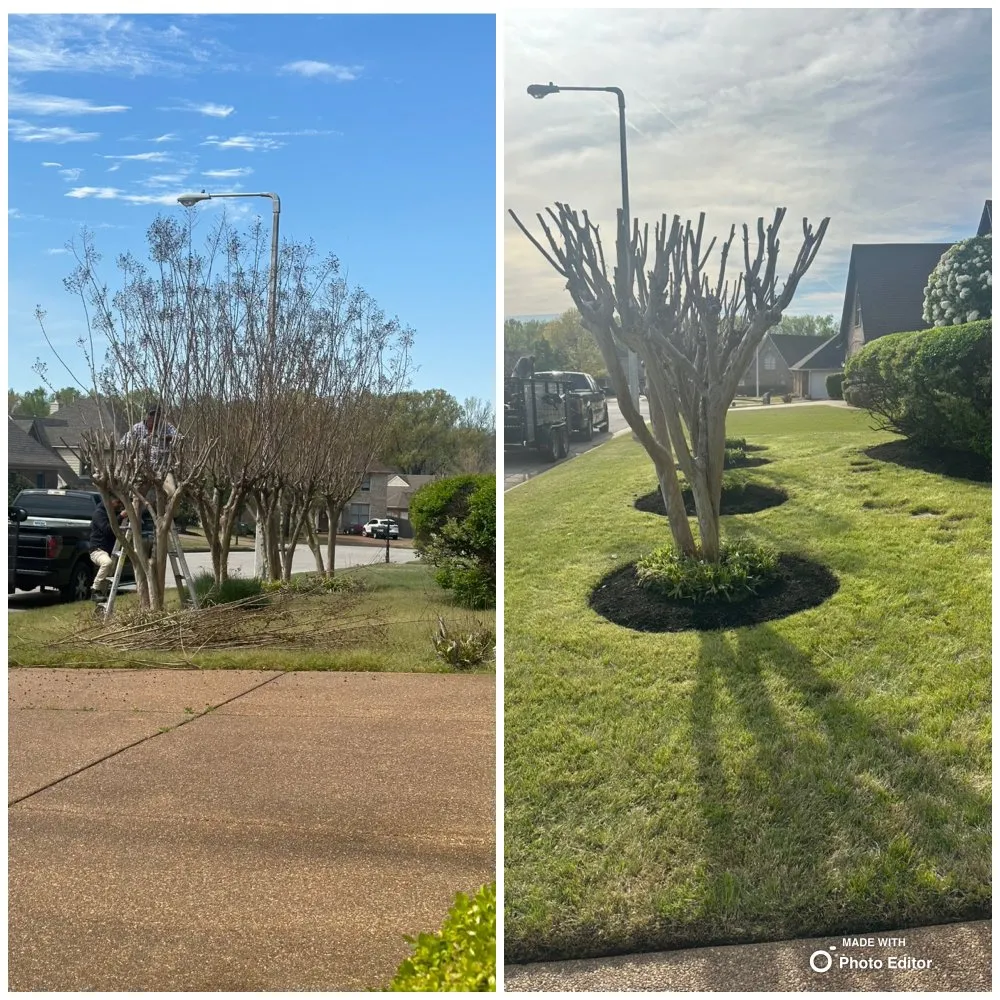 Local landscaping services for year-round maintenance across Cordova, TN - Lopez Landscape