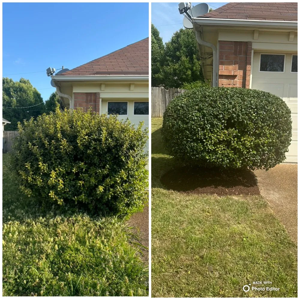 Local lawn care service in Cordova, TN by Lopez Landscape