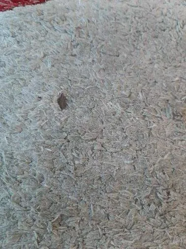 Expert yard maintenance with custom design across Miami, FL - Lopez Landscape