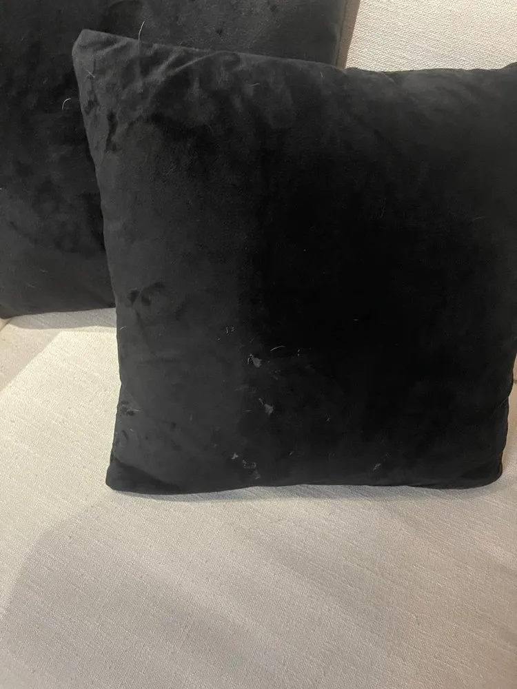 Trusted yard cleanup service in Miami, FL by Lopez Landscape