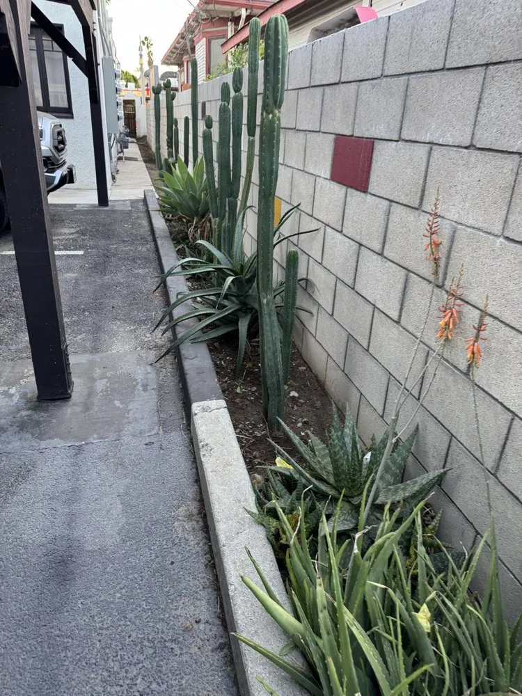 Custom landscape design in Riverside, CA - Lopez Landscape