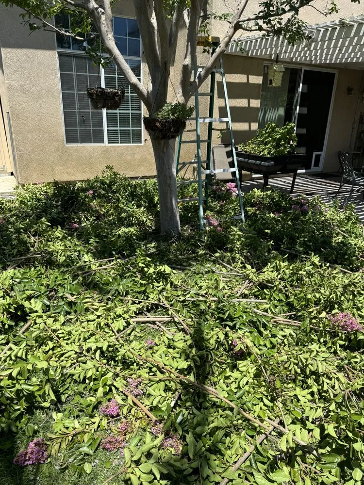 Reliable yard maintenance in Riverside, CA by Lopez Landscape