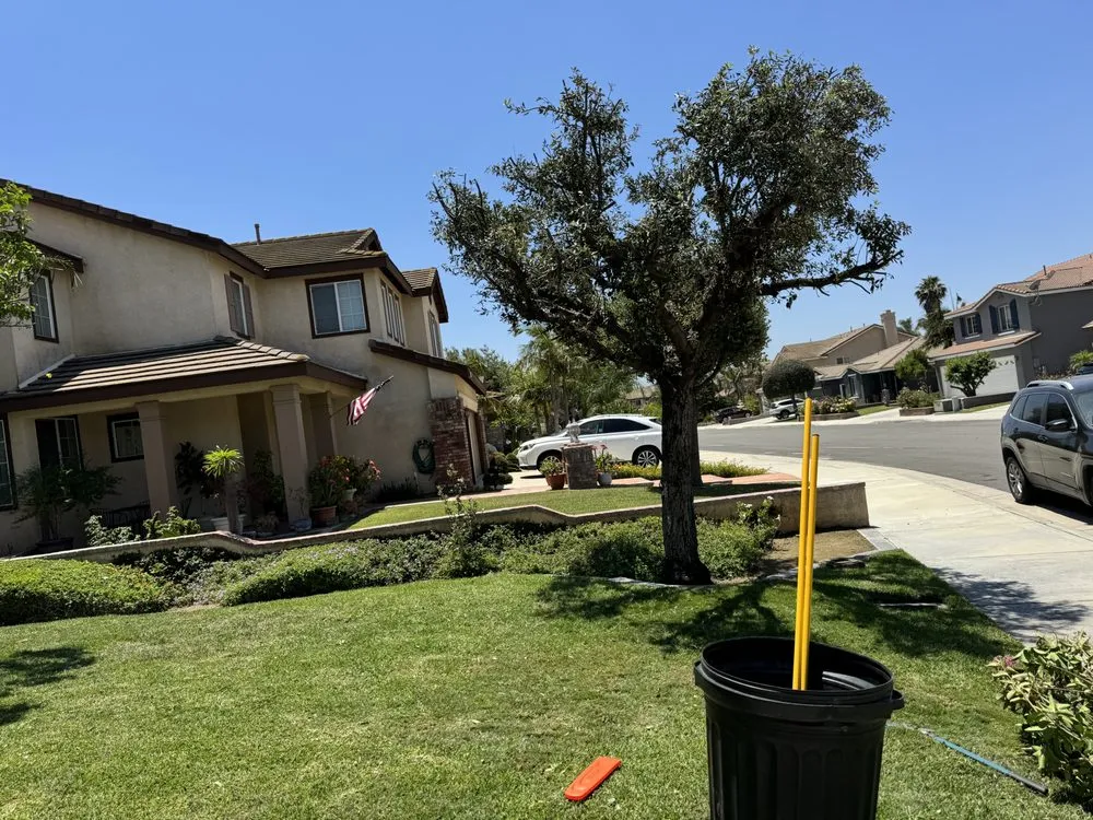 Top-rated residential landscaping experts serving Riverside, CA - Lopez Landscape