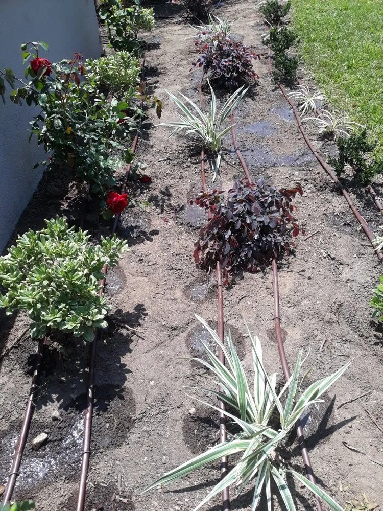 Local outdoor landscaping for beautiful yards in Rohnert Park, CA by Lopez Landscape