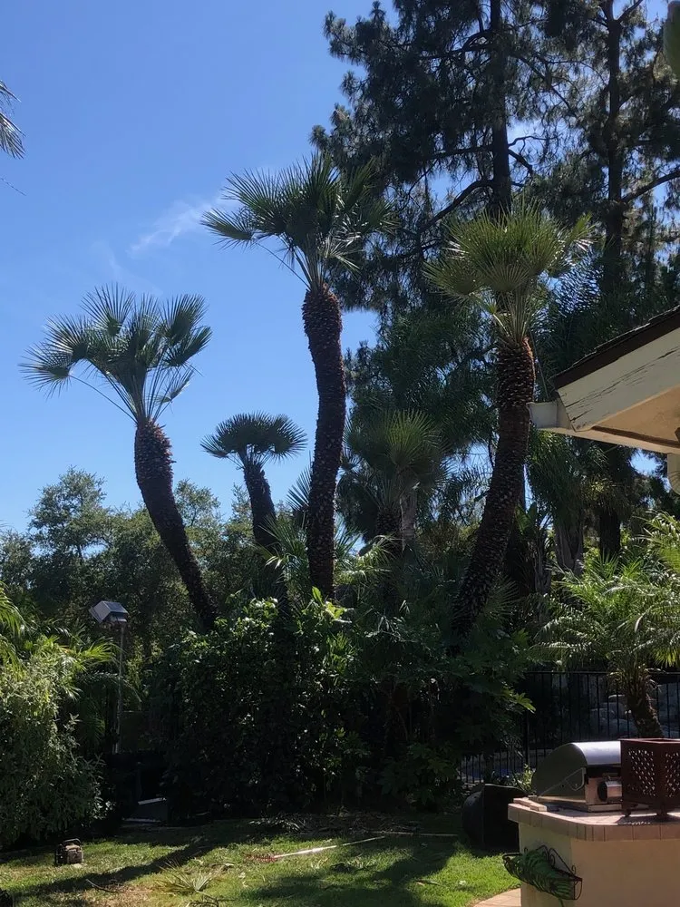 Expert landscape design for outdoor upgrades across Rohnert Park, CA - Lopez Landscape