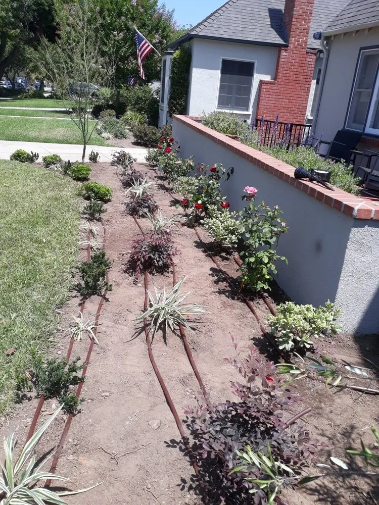 Top-rated landscape design for homes across Rohnert Park, CA - Lopez Landscape