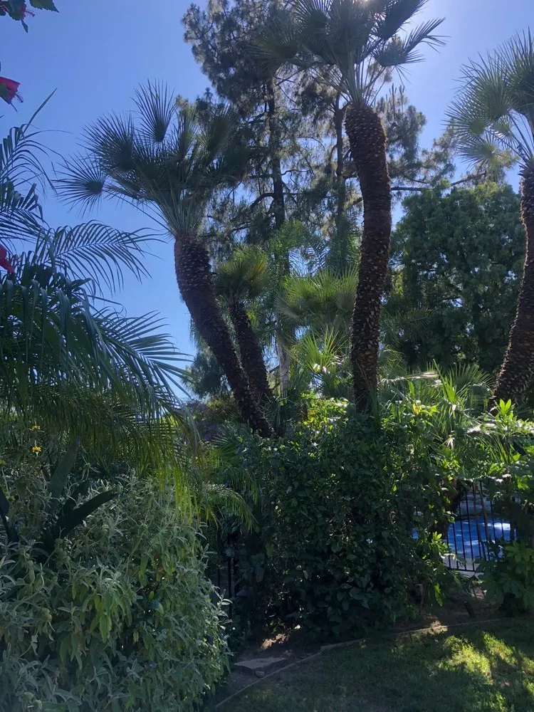 Top-rated garden landscaping in Rohnert Park, CA by Lopez Landscape