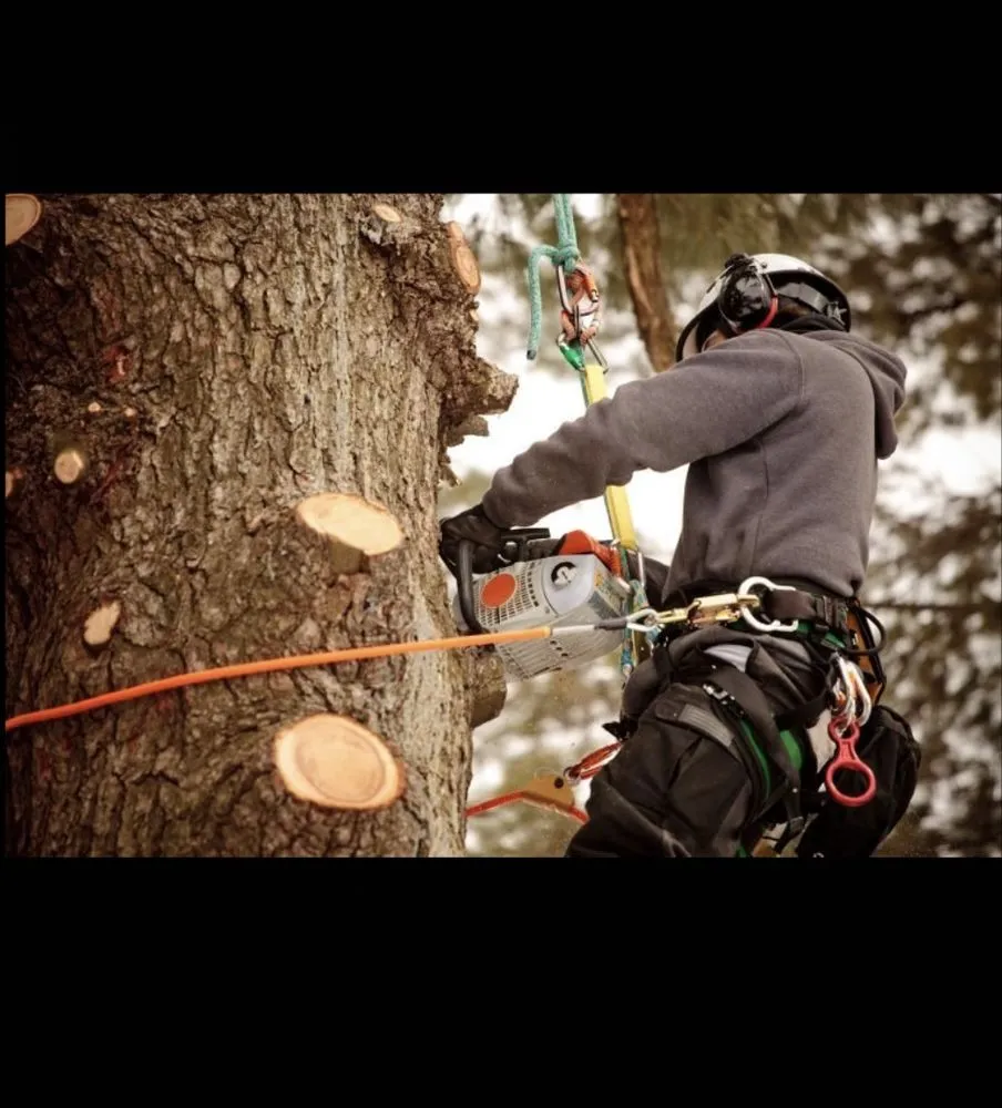 Trusted landscaping services with custom design across Rohnert Park, CA - Lopez Landscape