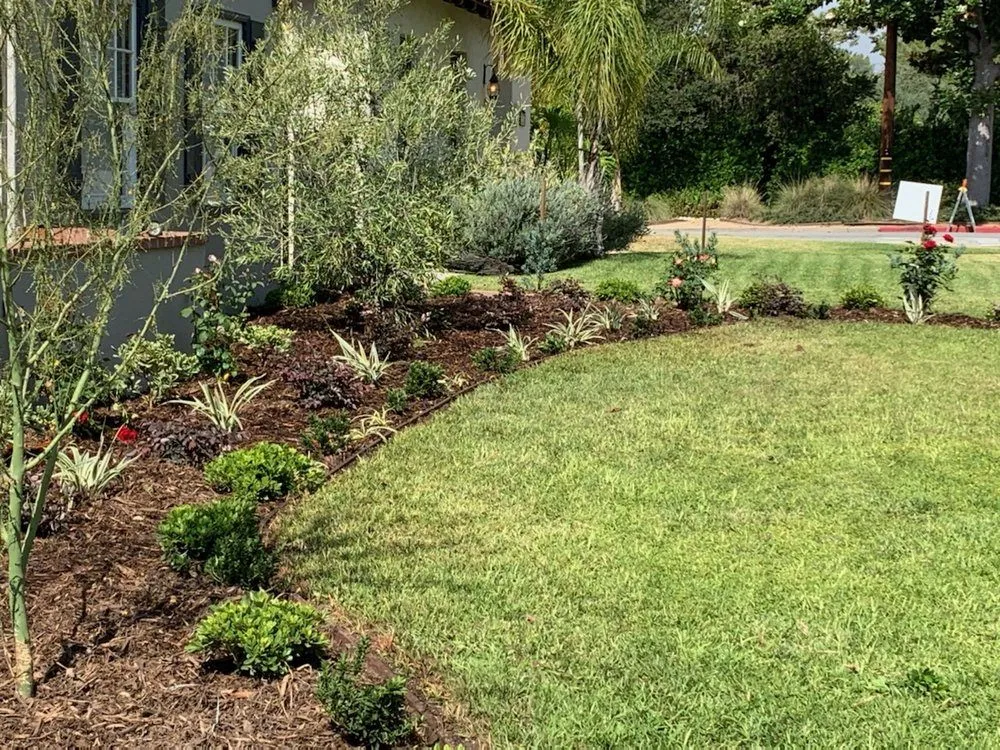 Local yard maintenance in Rohnert Park, CA - Lopez Landscape