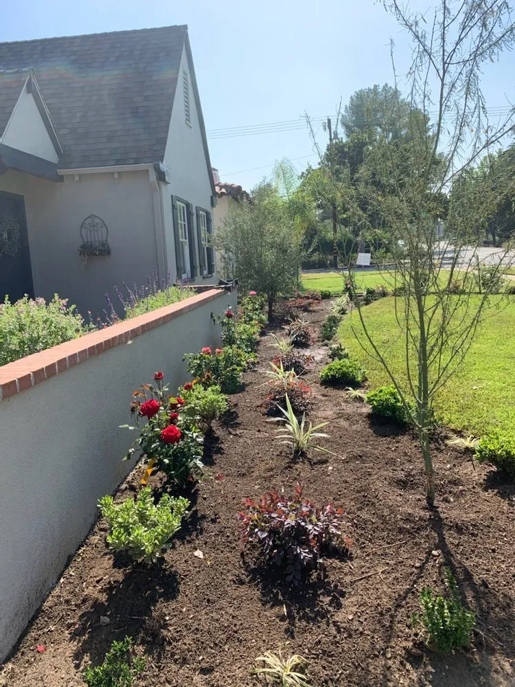 Trusted landscaping services in Rohnert Park, CA by Lopez Landscape