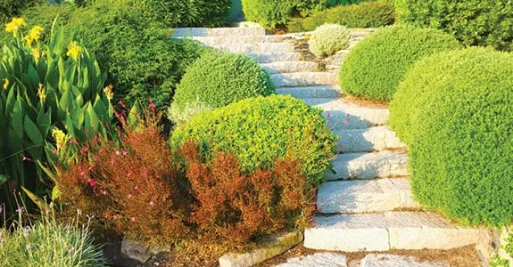 Expert residential landscaping experts serving Santa Fe, NM - Lopez Landscape