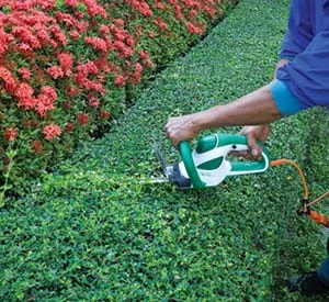 Reliable residential landscaping experts serving Santa Fe, NM - Lopez Landscape