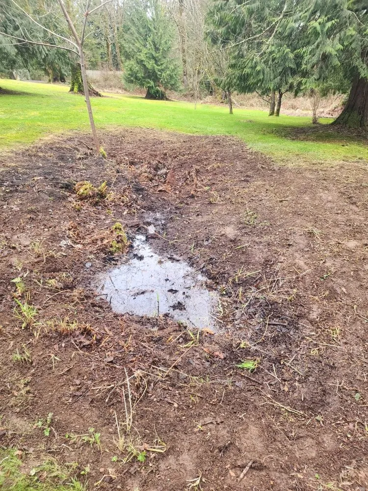 Expert landscape installation in Seattle, WA by Lopez landscape