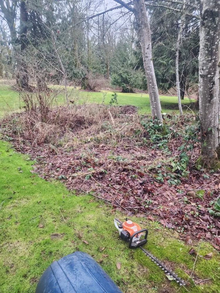 Local landscape installation in Seattle, WA - Lopez landscape