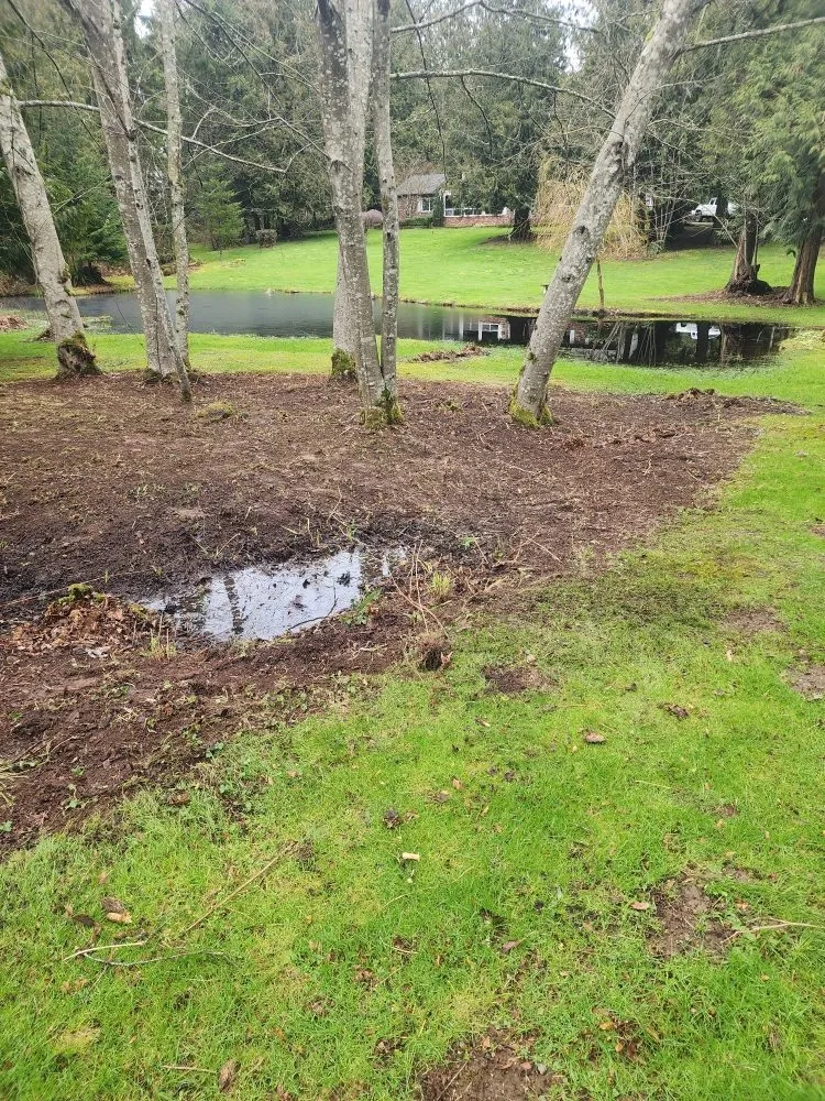 Reliable garden landscaping near you in Seattle, WA by Lopez landscape