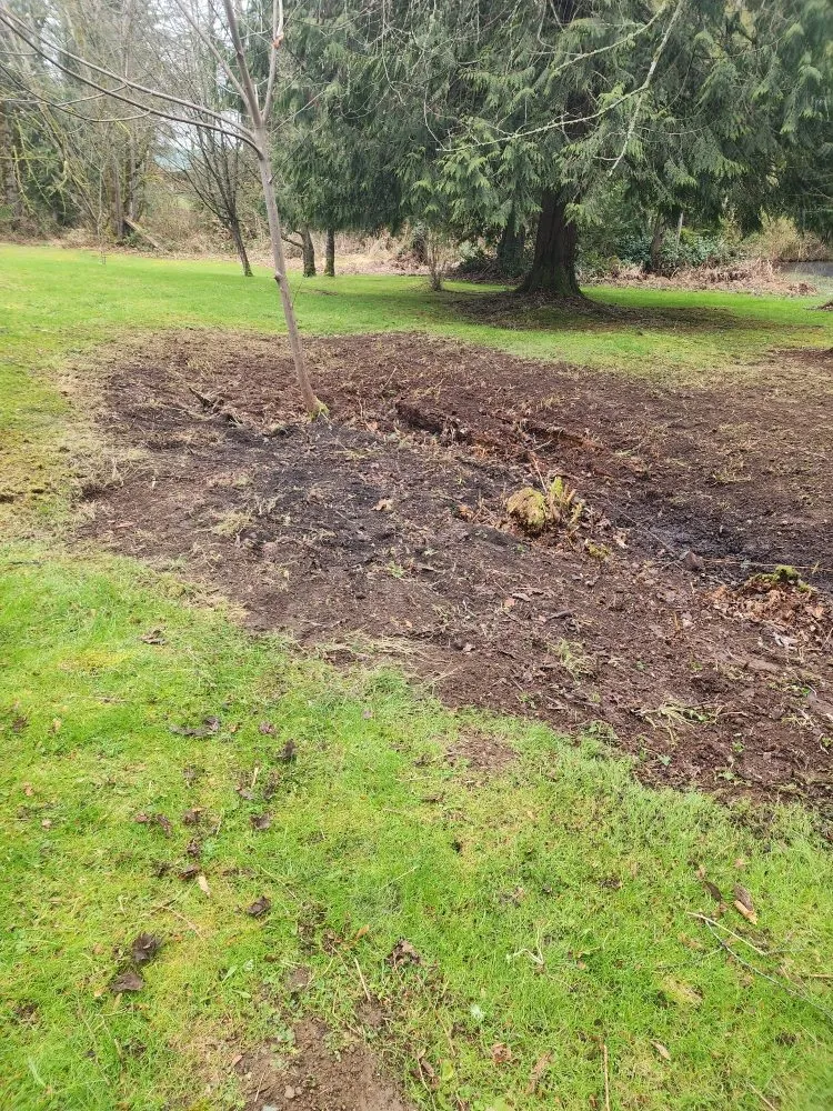 Local outdoor landscaping experts serving Seattle, WA - Lopez landscape