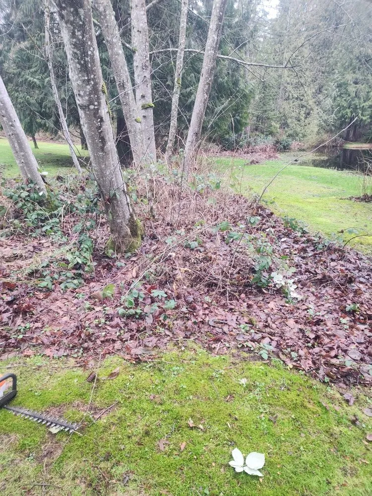 Reliable landscaping services for homes in Seattle, WA by Lopez landscape