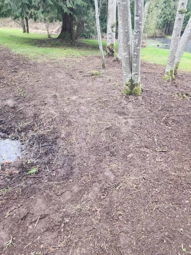 Custom garden landscaping with custom design in Seattle, WA by Lopez landscape