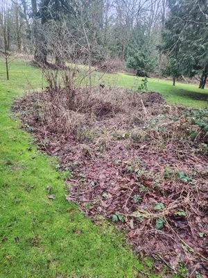 Lopez landscape Logo