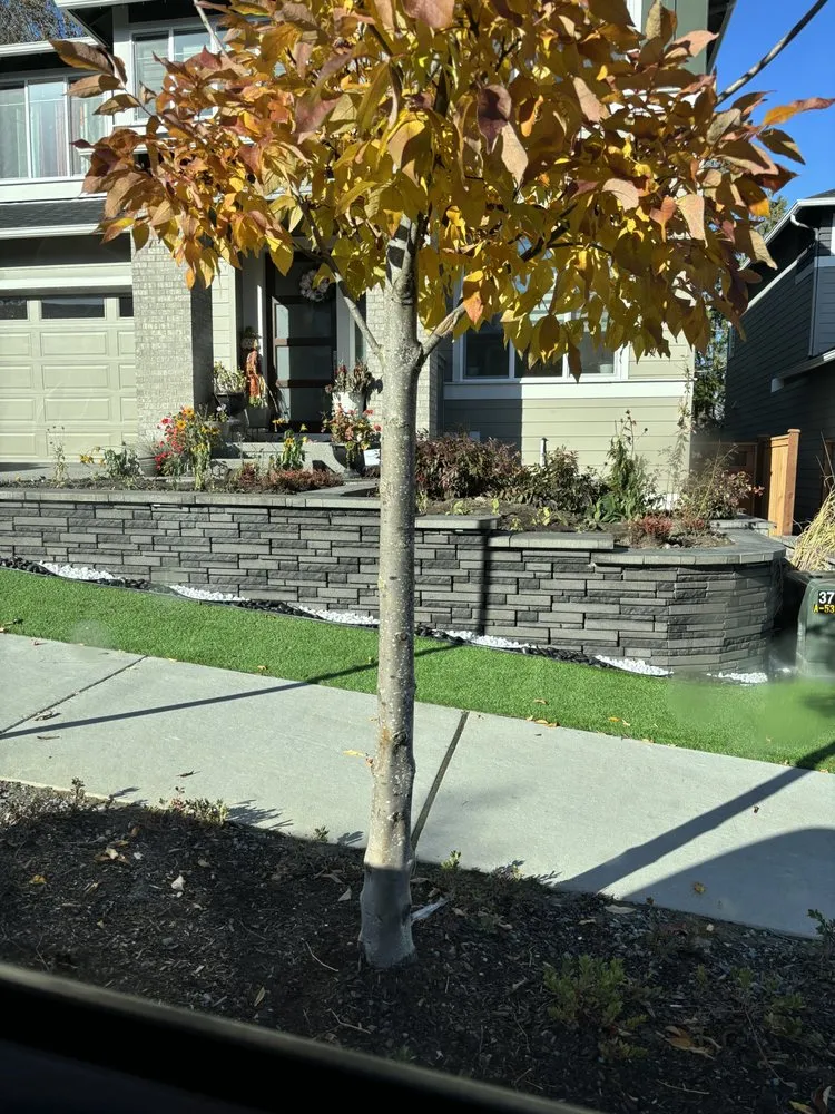 Local yard cleanup service for year-round maintenance across Everett, WA - Lopez landscaping & Concrete
