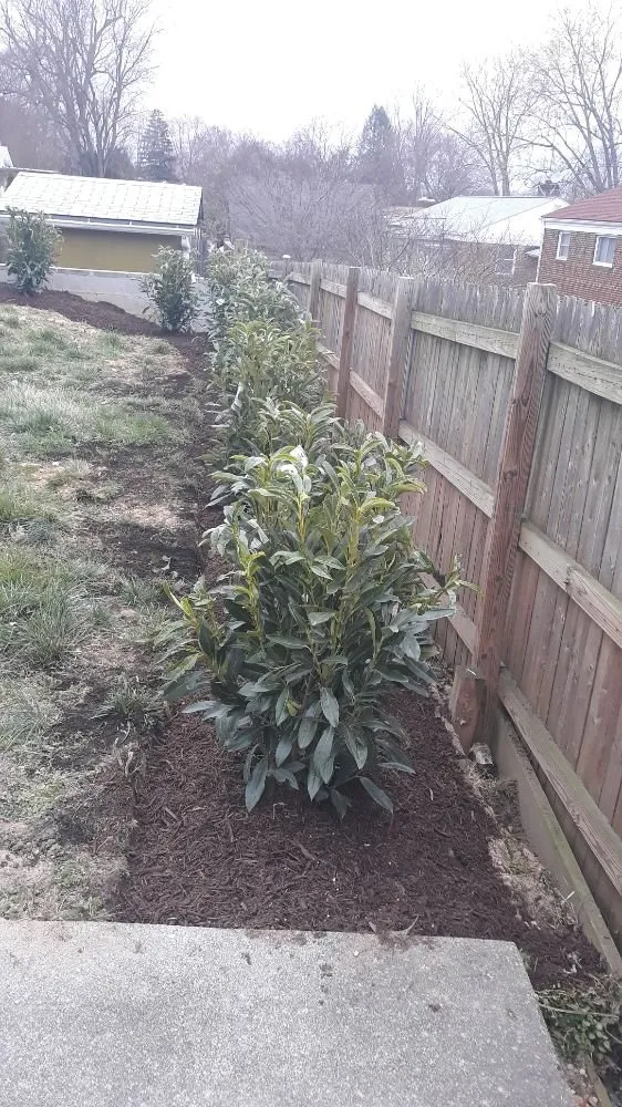 Professional garden landscaping for year-round maintenance across Gaithersburg, MD - Lopez Landscaping & Construction