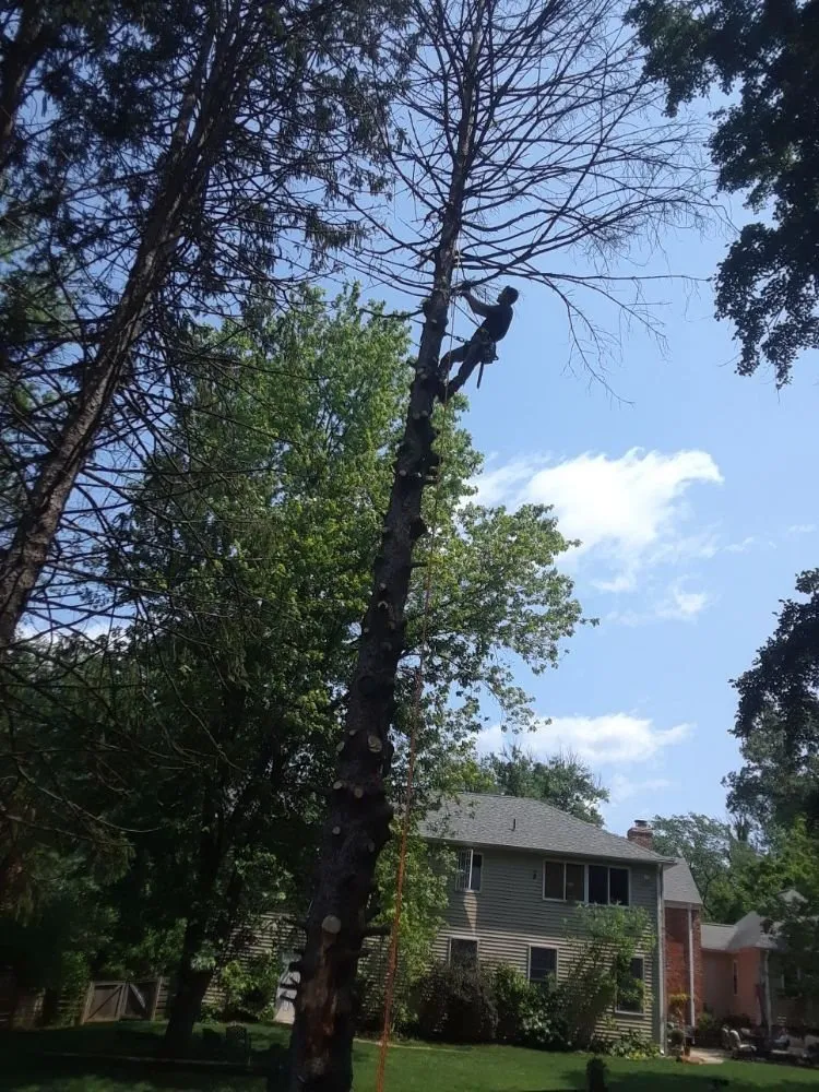 Custom landscape installation with custom design across Gaithersburg, MD - Lopez Landscaping & Construction