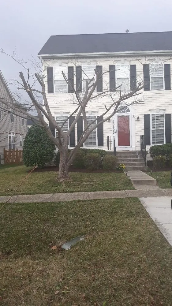 Professional landscape design in Gaithersburg, MD - Lopez Landscaping & Construction