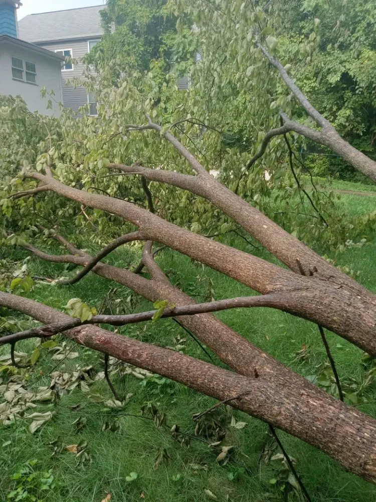 Reliable lawn mowing service in Gaithersburg, MD by Lopez Landscaping & Construction