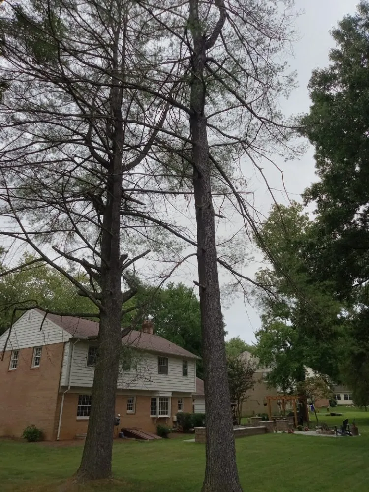 Custom landscape design in Gaithersburg, MD by Lopez Landscaping & Construction